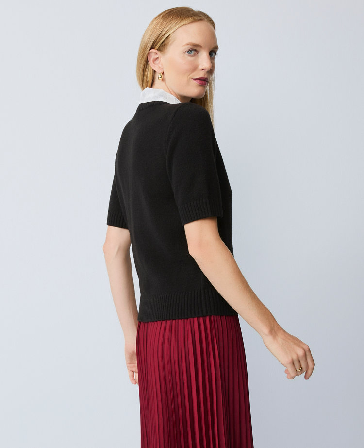 Petite Lace Collar Sweater Tee