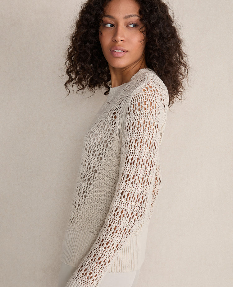 Ann Taylor Haven Well Within Organic Cotton Linen Open Stitch Crewneck Sweater Women's