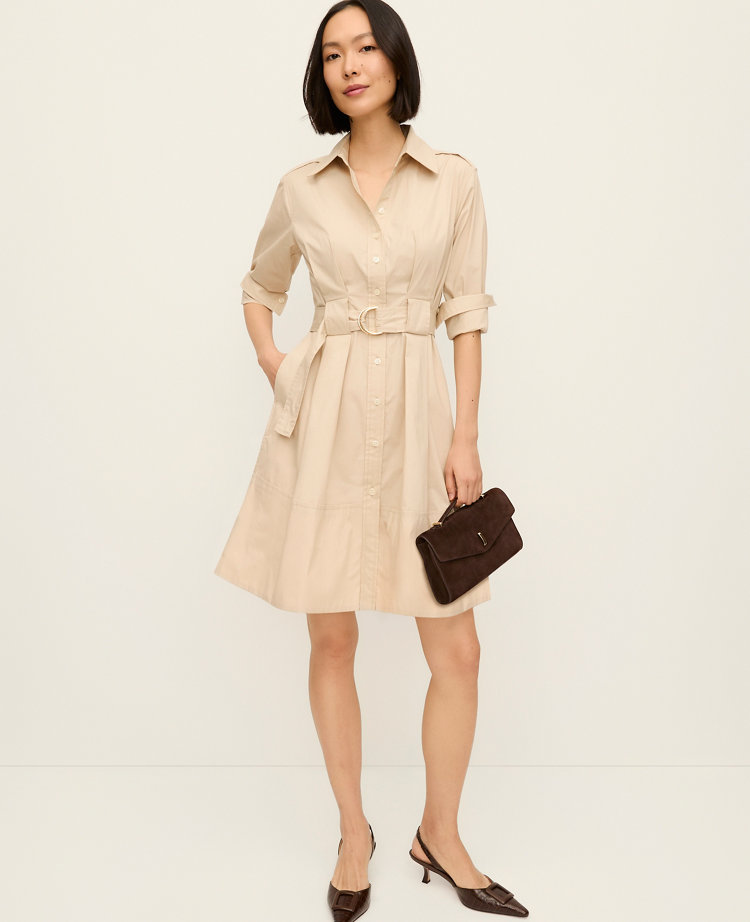 Petite Flare Pocket Shirtdress