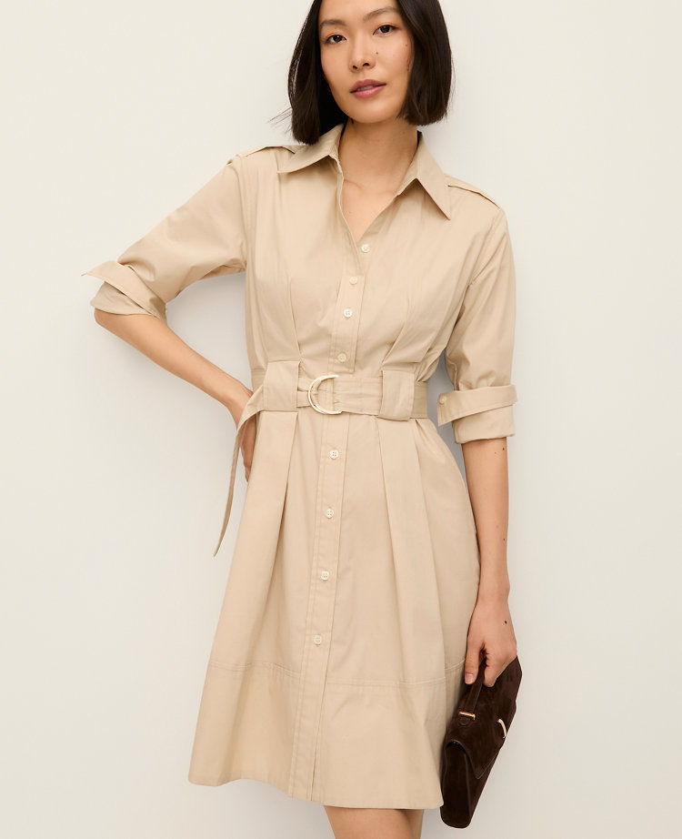 Petite Flare Pocket Shirtdress