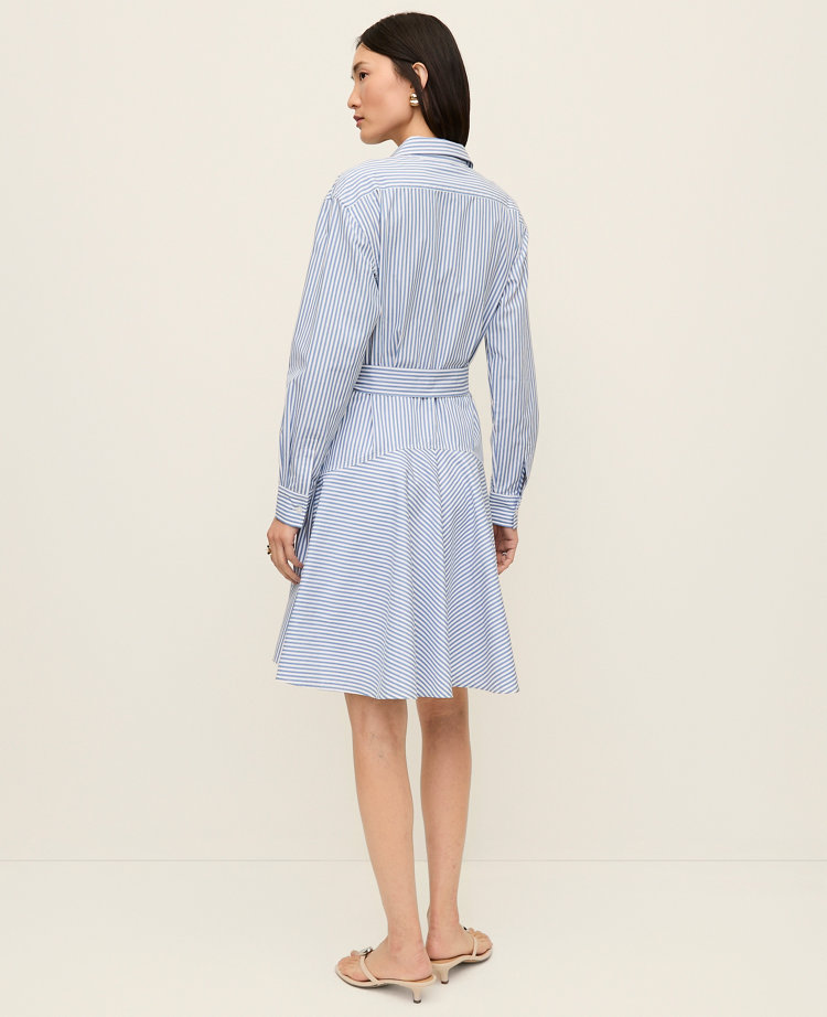 Petite Mini Striped Shirtdress