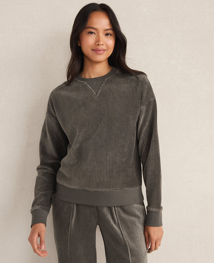 Haven Well Within Corded Velour Crewneck Pullover