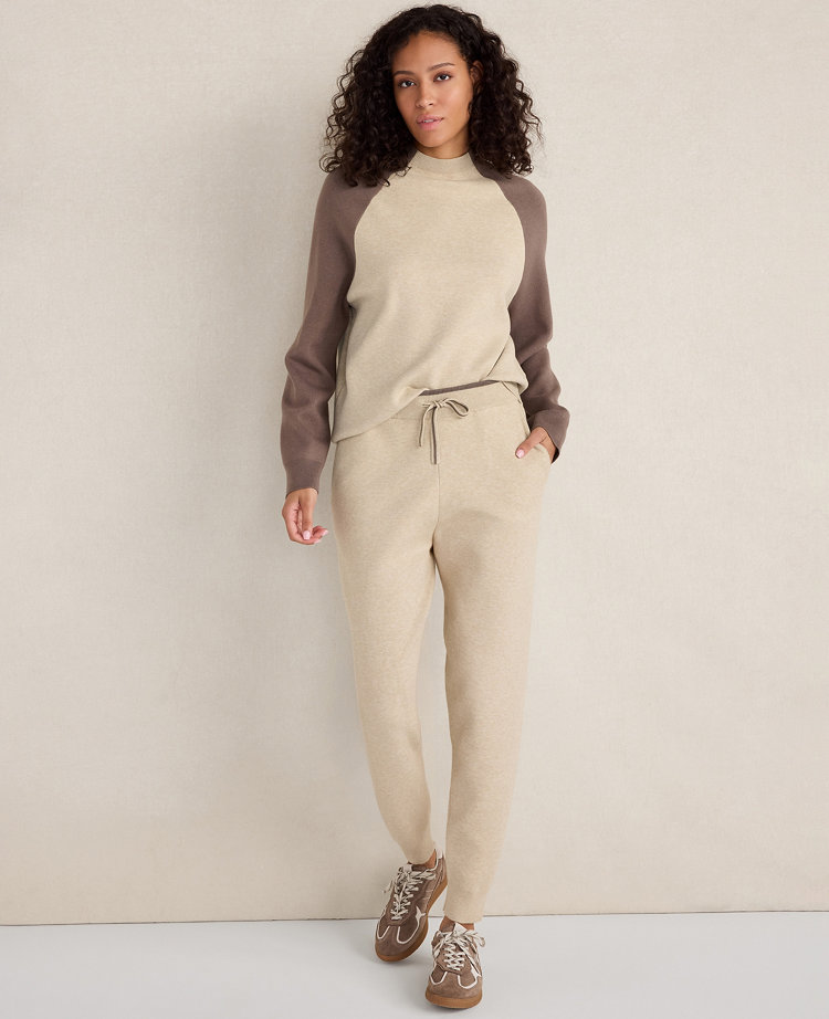 Haven Well Within Viscose Blend Colorblock Crewneck