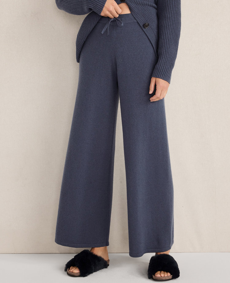 Ann Taylor Cashmere Wide Leg Jersey Pant In Blue