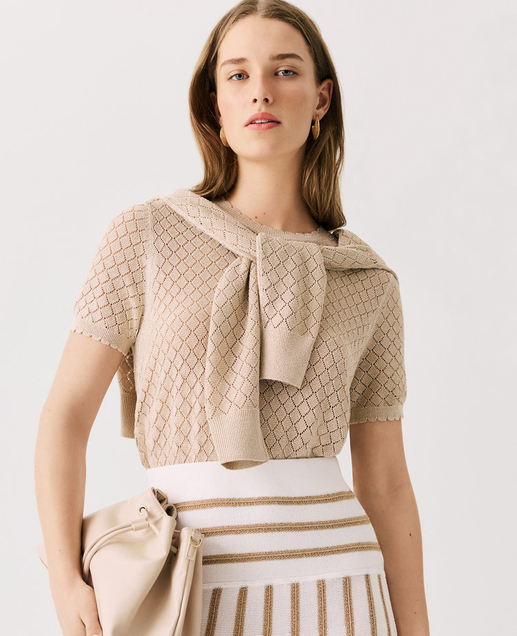 Petite Shimmer Pointelle Modern Sweater Tee