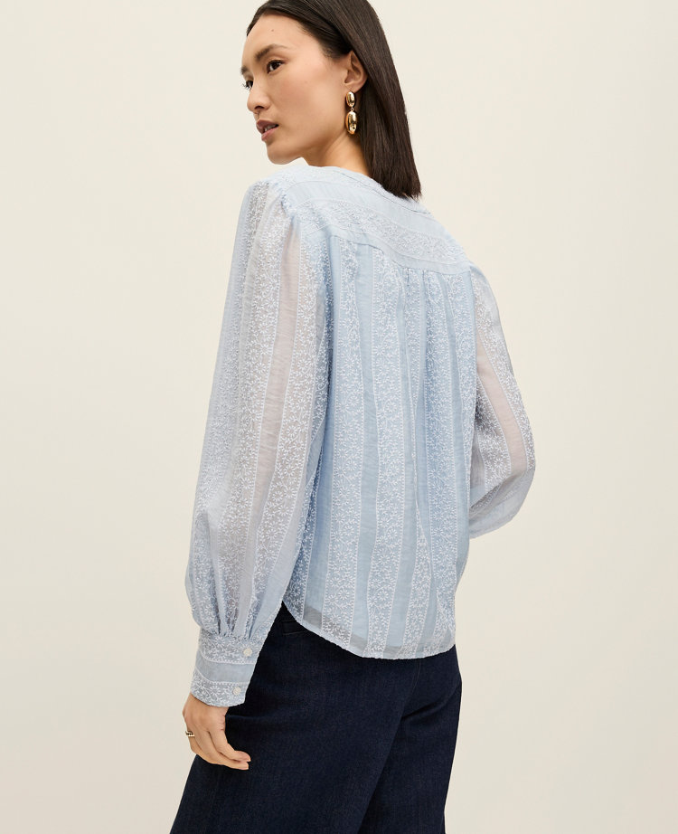 Embroidered  V-Neck Blouse