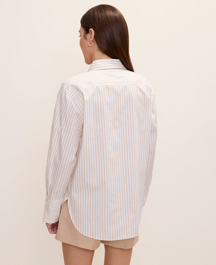 Petite Striped Button Down Shirt
