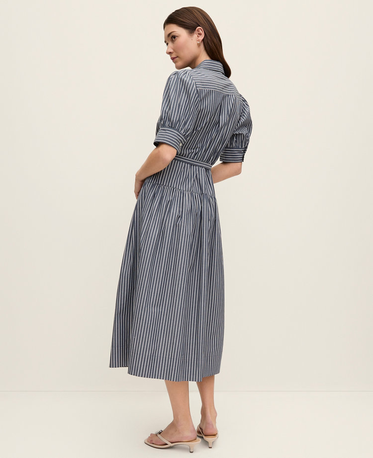 Petite Striped Shirtdress