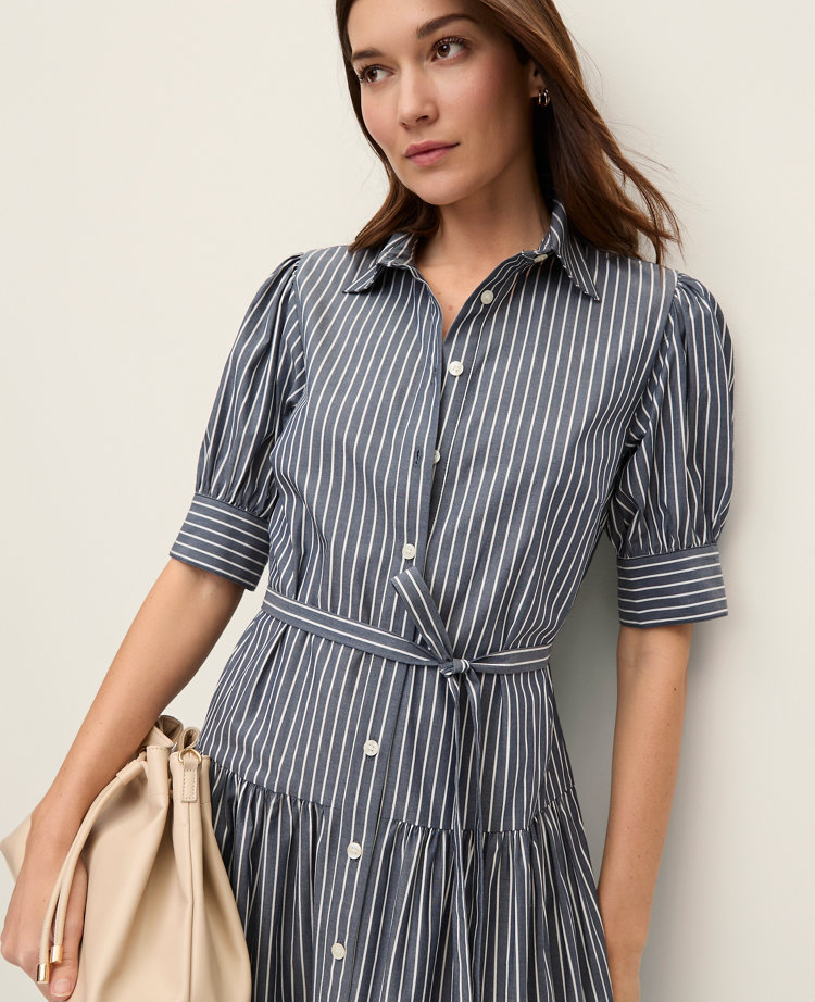Petite Striped Shirtdress