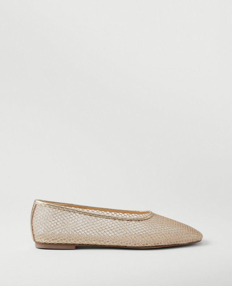 Ann Taylor Mesh Ballet Flats