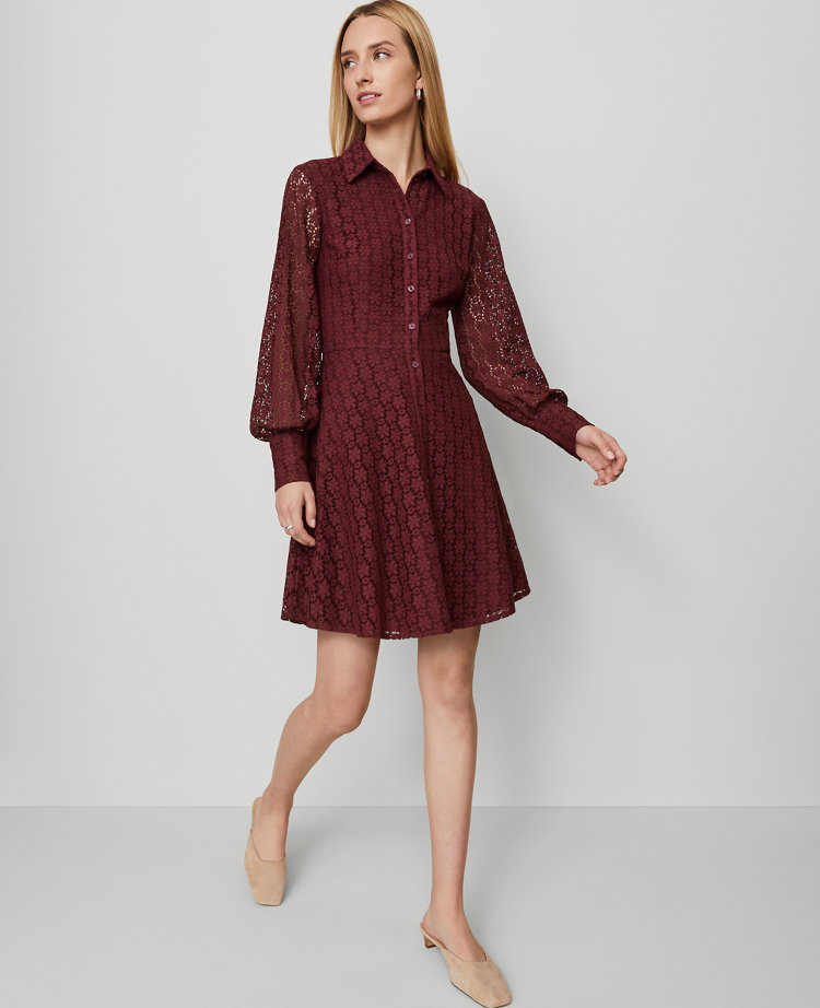 Collared Flare Shirtdress