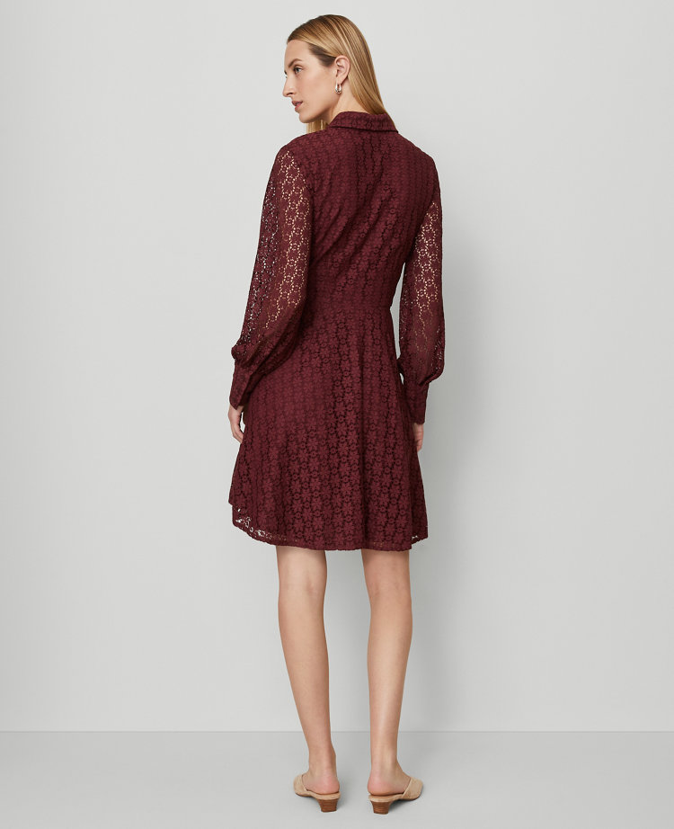 Collared Flare Shirtdress