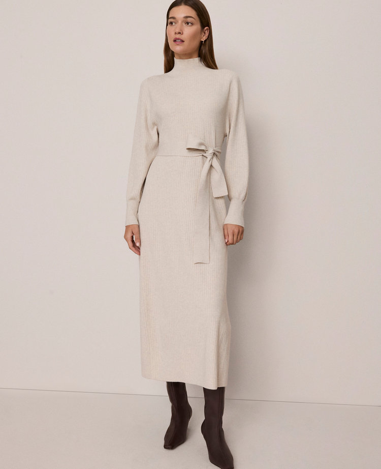 Weekend Collection Ribbed Turtleneck Sweater Dress