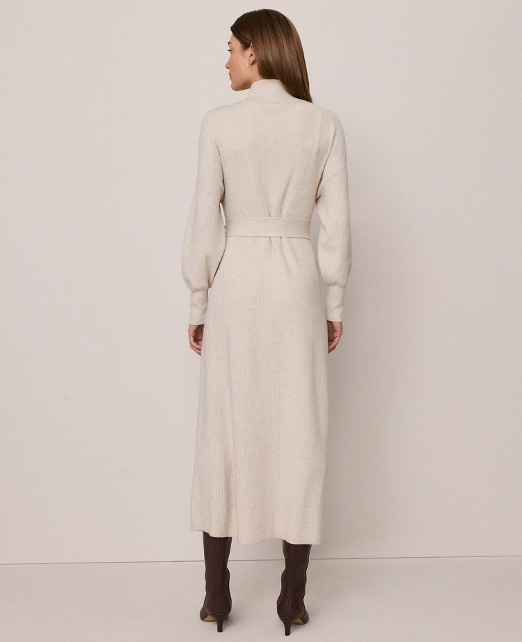 Weekend Collection Ribbed Turtleneck Sweater Dress