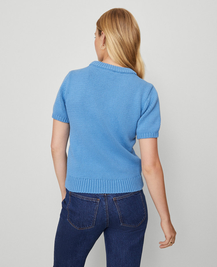 Ann Taylor Weekend Collection Chunky Wedge Sweater Tee In Blue