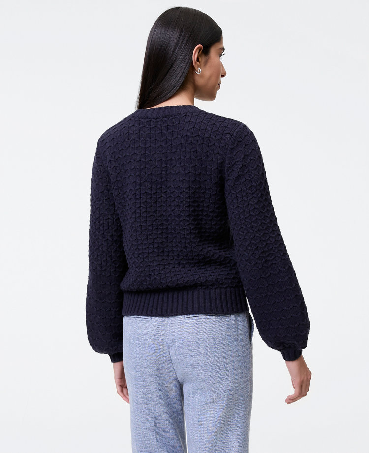 Blouson Sleeve Crew Neck Sweater