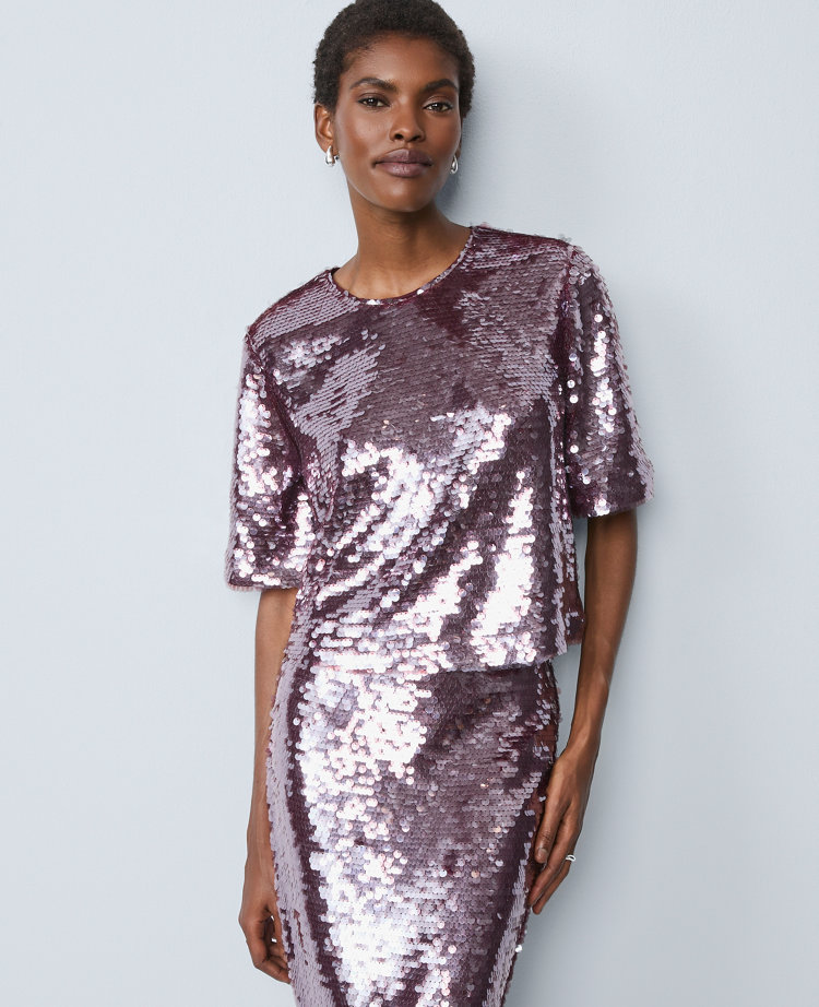 Petite Sequin Crew Neck Blouse