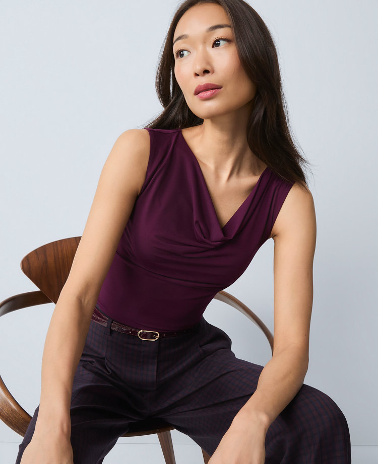 Petite Draped Cowl Neck Top