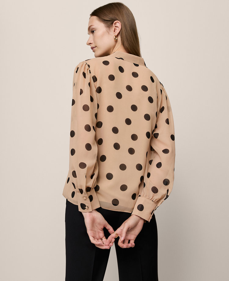 Dotted V-Neck Popover