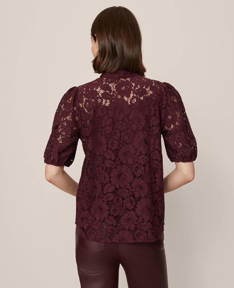 Petite Lace Blouse