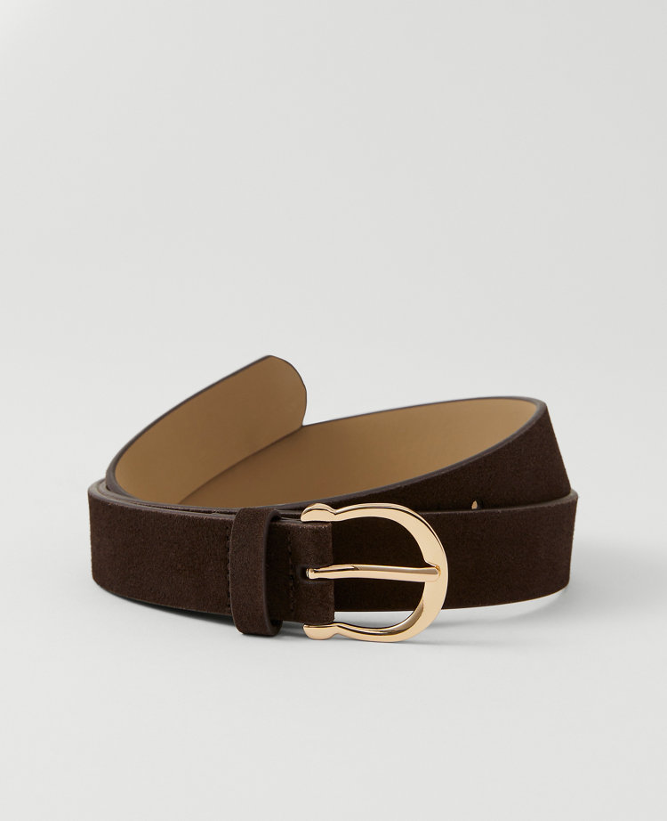 Ann Taylor Round Buckle Suede Belt In Brown