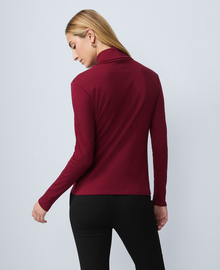 Weekend Collection Turtleneck Top