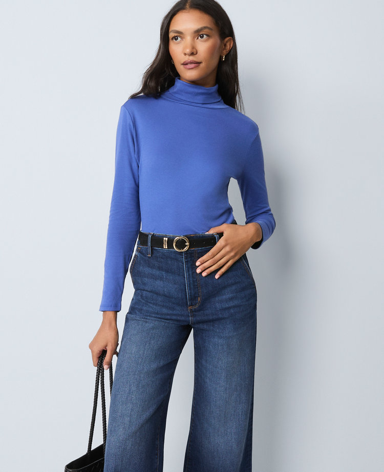 Ann Taylor Weekend Collection Turtleneck Top In Blue