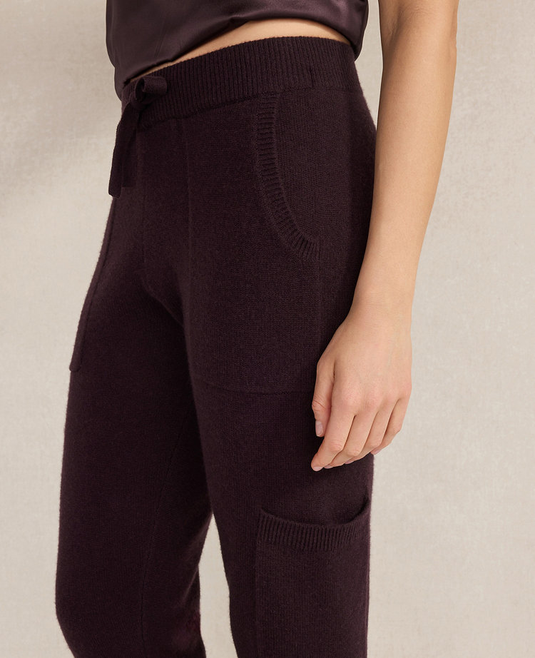 Haven Well Within Cashmere Cargo Joggers