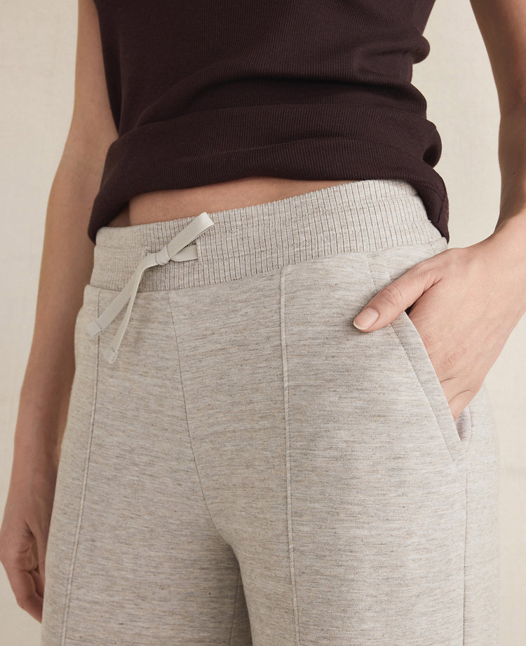 Ann Taylor Haven Well Within Tencel Fleece Wide Leg Pintuck Pants In Gray