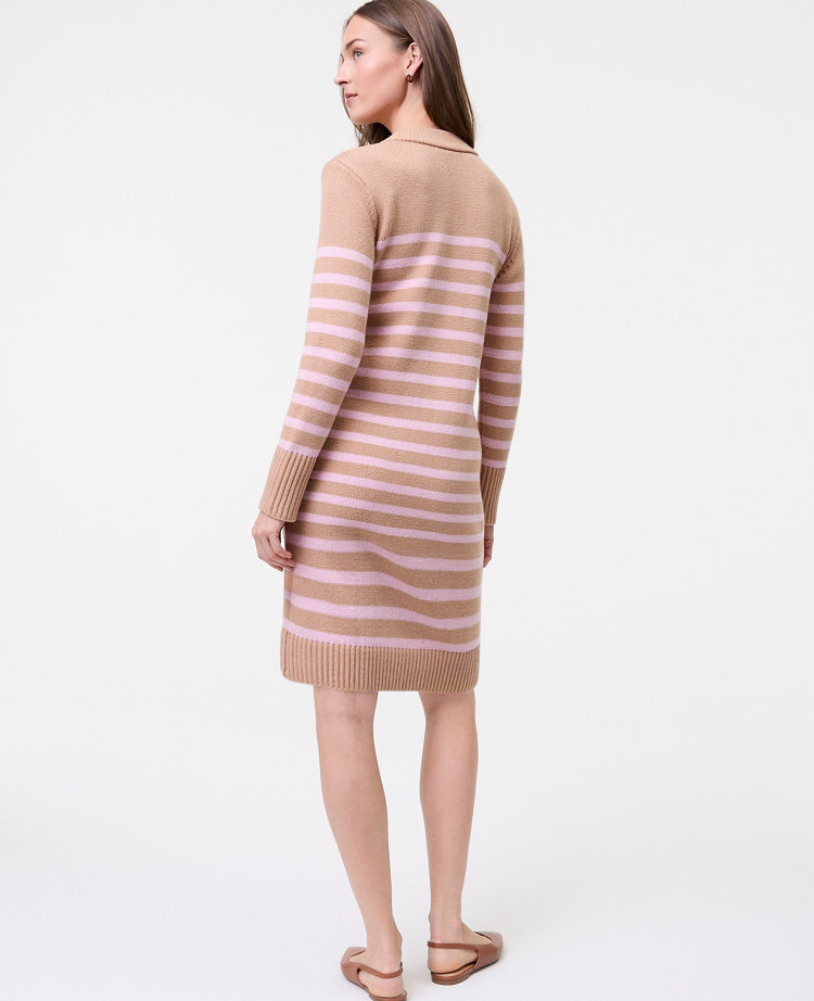 Petite Weekend Collection Striped Sweater Shift Dress
