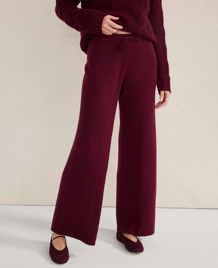 Ann Taylor Haven Well Within Cashmere Wide Leg Pants In Purple