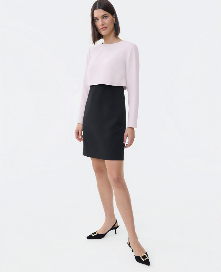 Petite Colorblock Crew Neck Shift Dress