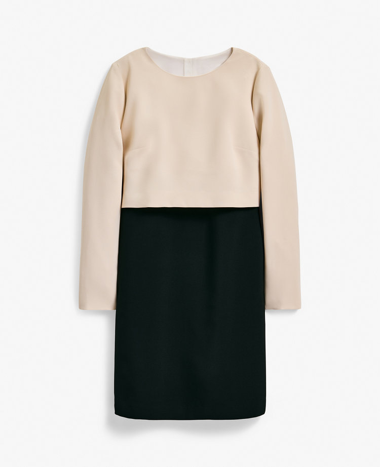 Petite Colorblock Crew Neck Shift Dress