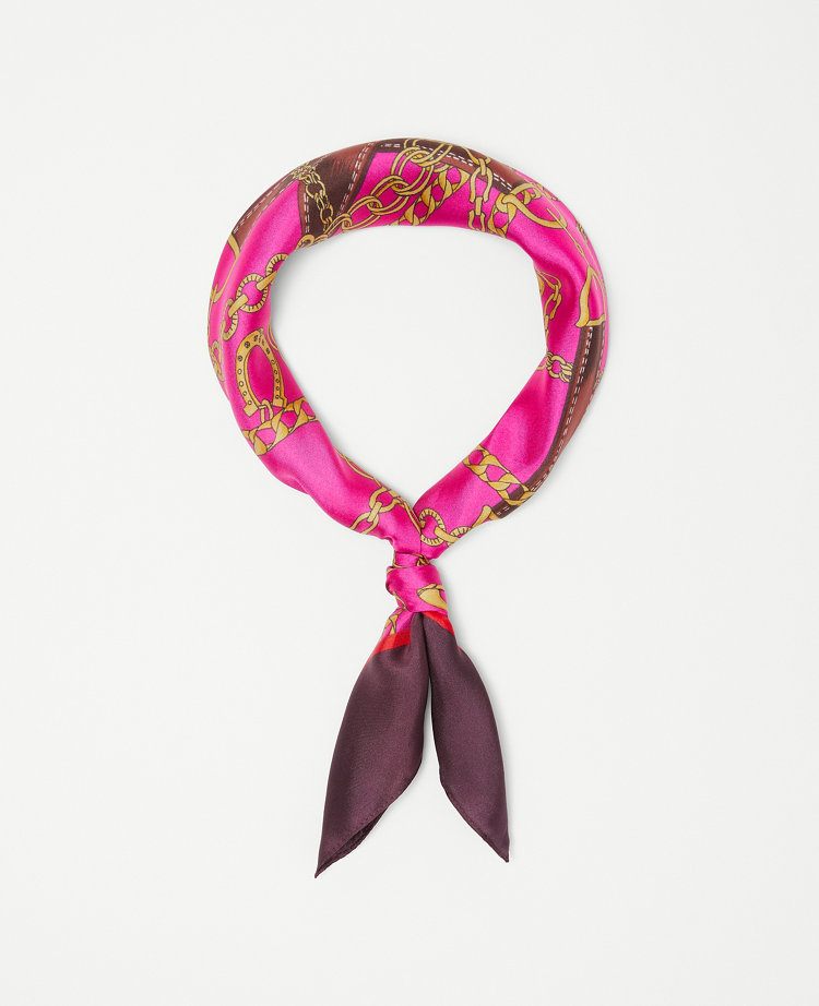 Ann store taylor scarf