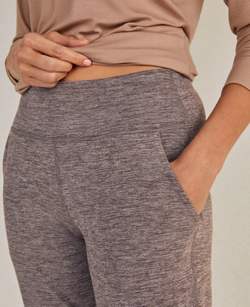 Haven Well Within Balance Heather Joggers