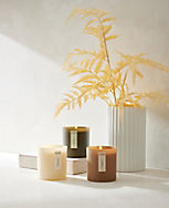Haven Well Within Grove Candle carousel Product Image 4