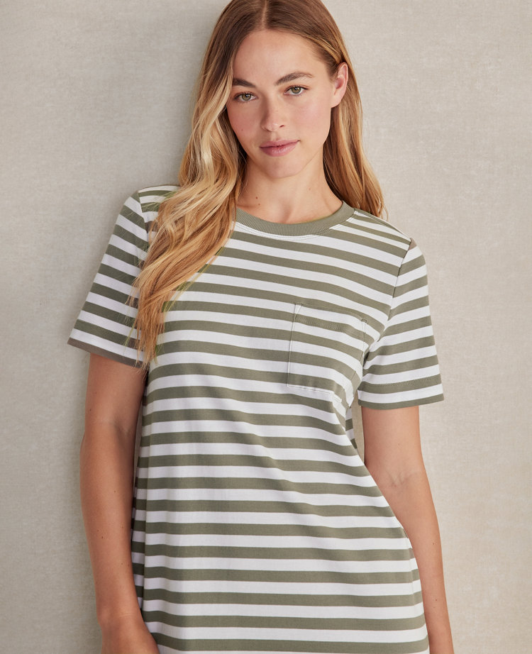 Ann Taylor Haven Well Within Organic Cotton Interlock Striped T-Shirt Dress Size XS Vetiver Women's