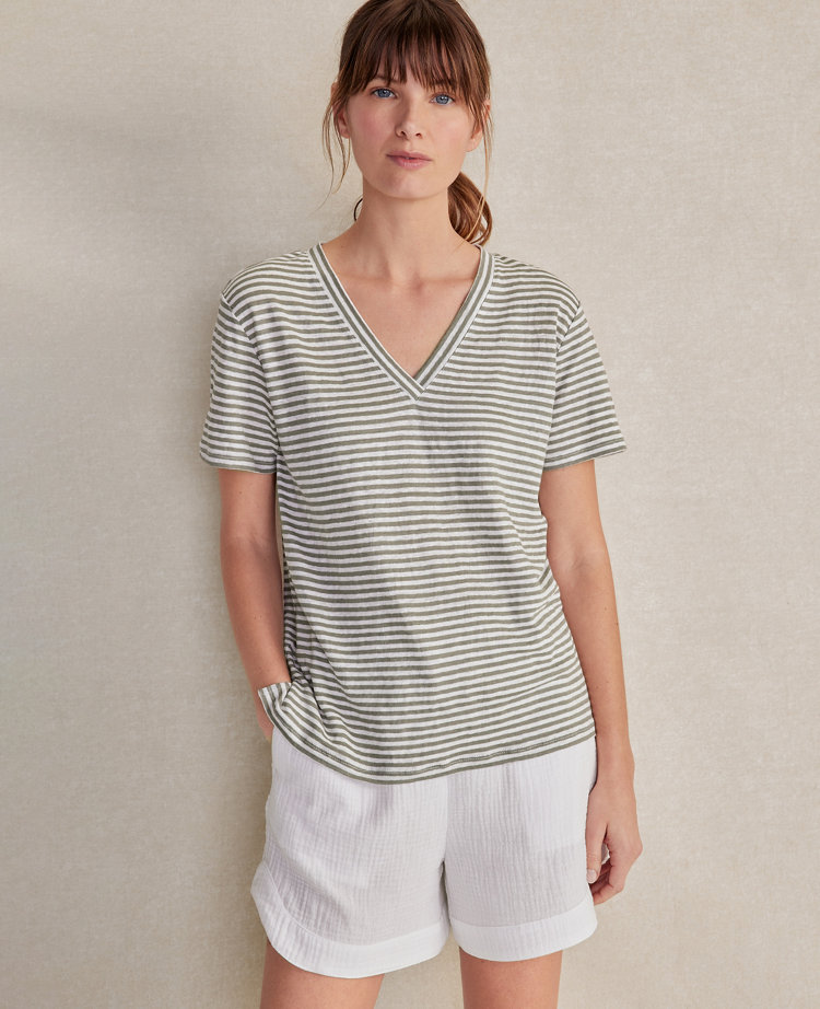 Ann Taylor Haven Well Within Linen Jersey Striped V-Neck T-Shirt Vetiver Women's