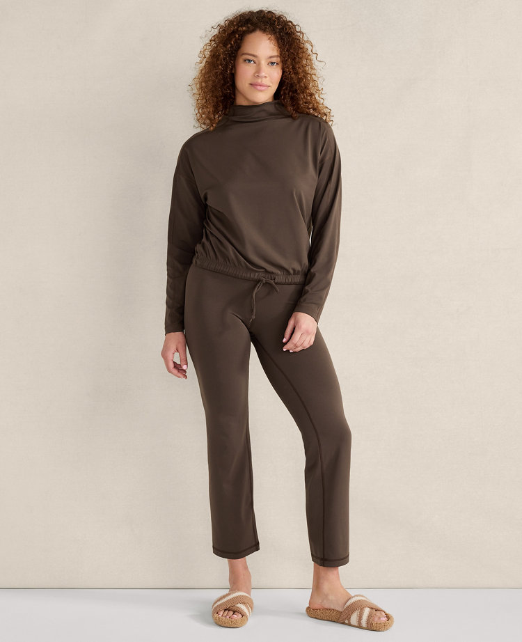 Ann Taylor Haven Well Within Balance Funnel Neck Top In Chocolate