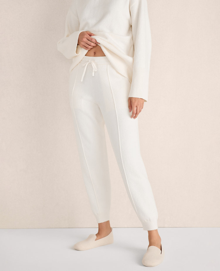 Ann taylor joggers online