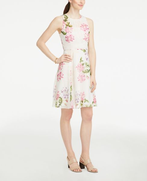 ann taylor outlet dresses