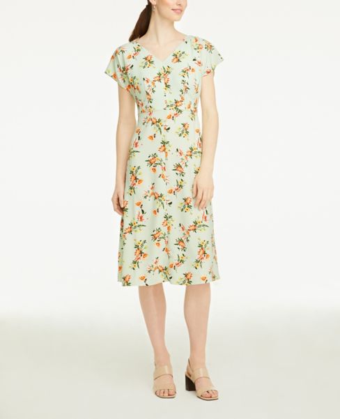 ann taylor outlet dresses