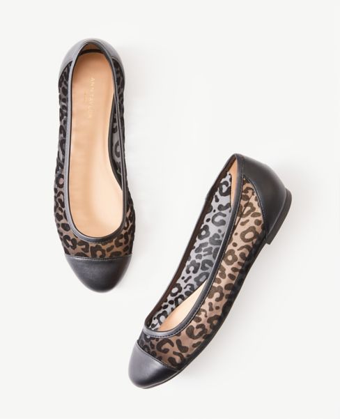 ann taylor ballet flats