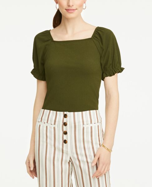 ann taylor petite clothing