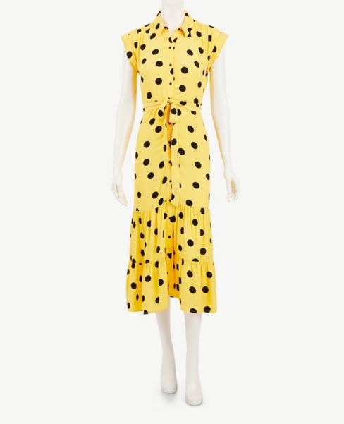 ann taylor polka dot dress