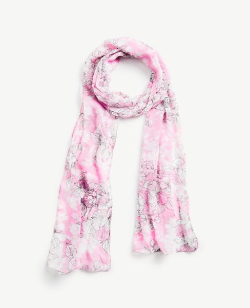 Image of Ann Taylor Factory Toile Skinny Scarf