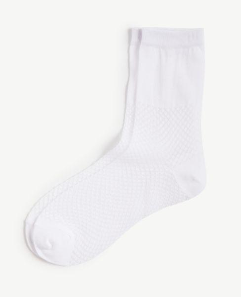 Image of Ann Taylor Factory Eyelet Crew Socks