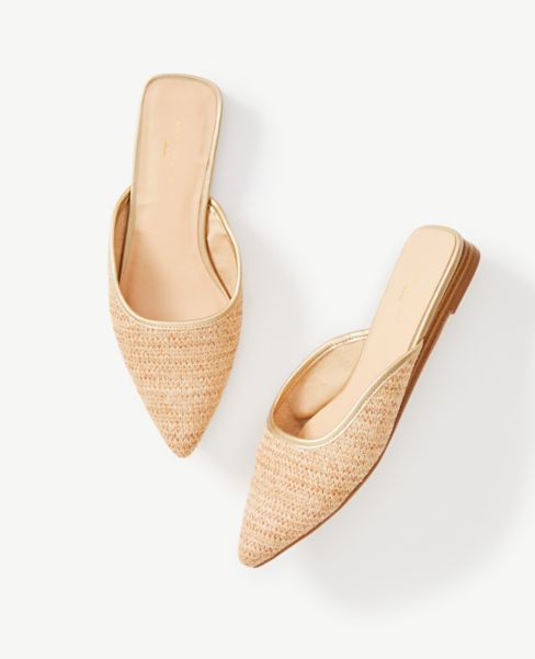 ann taylor mules