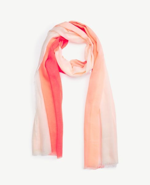 Image of Ann Taylor Factory Ombre Scarf