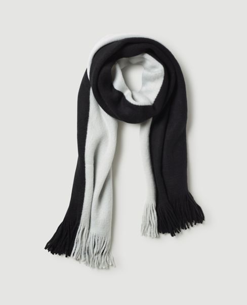 Image of Ann Taylor Factory Two Tone Scarf